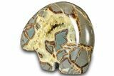 Calcite-Filled Polished Septarian Bear - Utah #301479-2